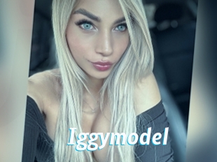 Iggymodel