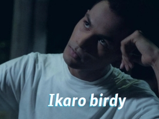 Ikaro_birdy