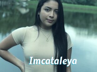 Imcataleya
