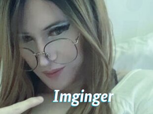 Imginger