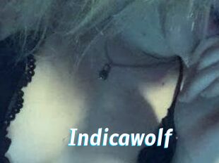 Indicawolf