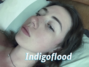 Indigoflood