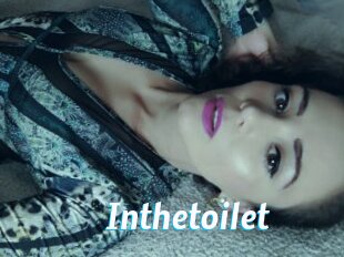 Inthetoilet