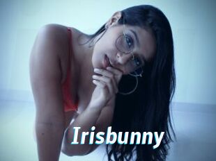Irisbunny