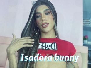 Isadora_bunny