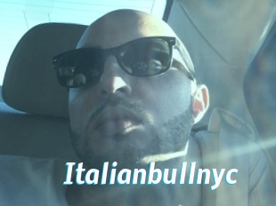 Italianbullnyc
