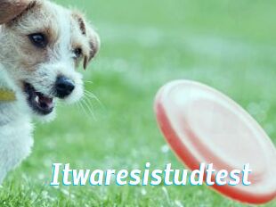 Itwaresistudtest