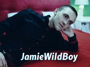 JamieWildBoy