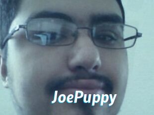 JoePuppy