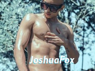 JoshuaFox