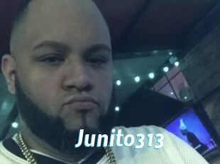 Junito313