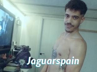 Jaguarspain