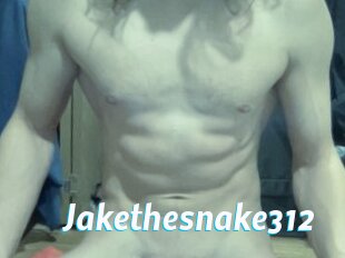 Jakethesnake312