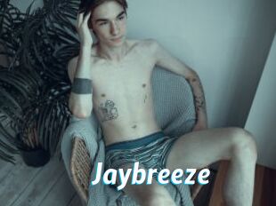 Jaybreeze