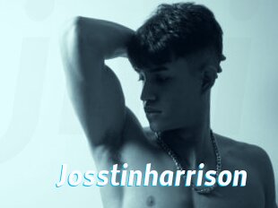 Josstinharrison
