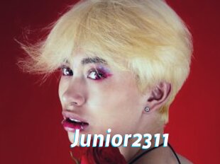 Junior2311