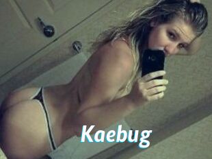 Kaebug