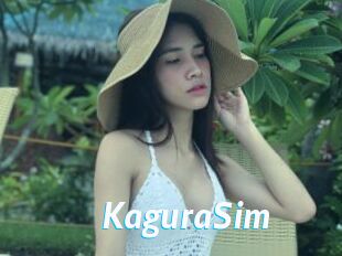 KaguraSim