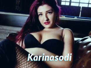 Karinasodi
