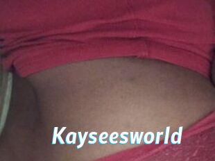 Kayseesworld