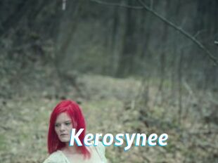 Kerosynee