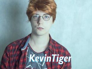 KevinTiger