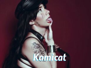 Kamicat