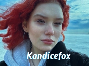 Kandicefox