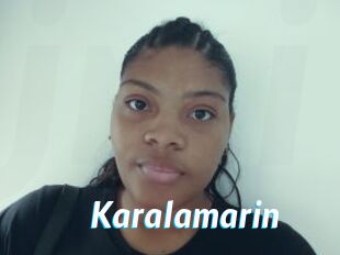 Karalamarin
