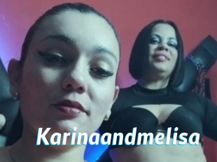 Karinaandmelisa