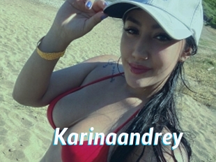 Karinaandrey