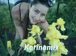 Karinamix