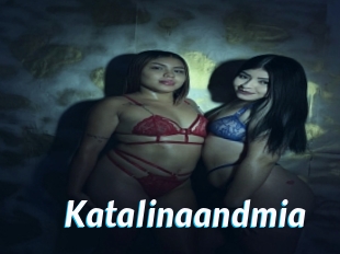 Katalinaandmia