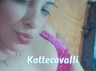 Kattecavalli