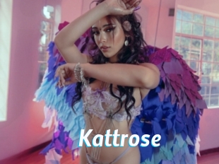 Kattrose