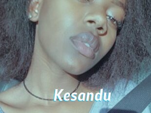 Kesandu