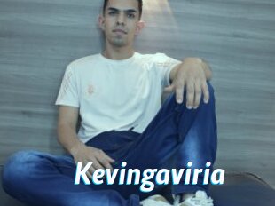 Kevingaviria