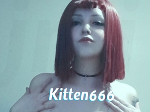 Kitten666