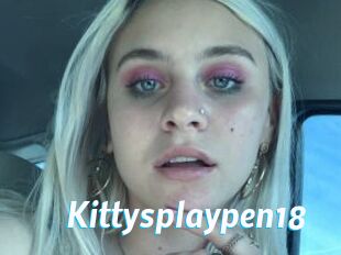 Kittysplaypen18