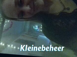 Kleinebeheer