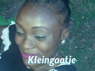 Kleingaatje