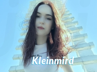 Kleinmird