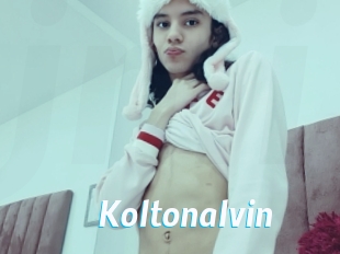 koltonalvin J Mine