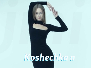 Koshechka_a