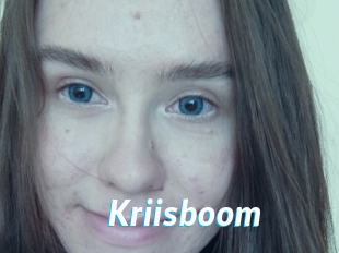 Kriisboom
