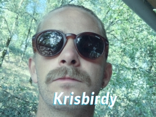 Krisbirdy
