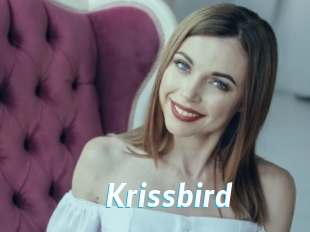 Krissbird
