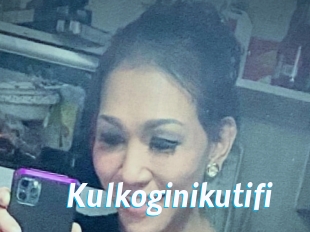 Kulkoginikutifi