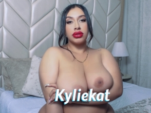 Kyliekat