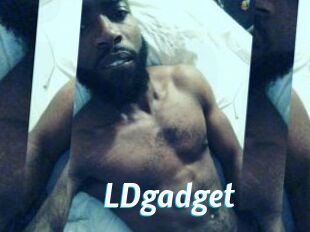 LDgadget